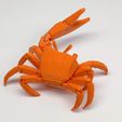 FC02.jpg Fiddler Crab