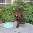 IMG_20181015_135546.jpg Groot the articulated Planter