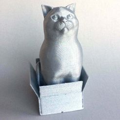 rapuzel_silver_4.jpg Schrodinky: British Shorthair Cat Sitting In A Box(single extrusion version)