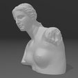 Screenshot-2023-06-12-205052.png Venus de Milo Head Bust