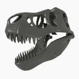 7-2000x2000.jpg T-rex skull