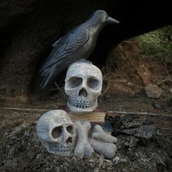 BirdsBooksBones3.jpg STL file Bird Books and Bones Halloween, Witch decoration, Spells, Potions, Fantasy・Model to download and 3D print