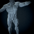 Untitled_Viewport_010.png Anatomia Humana Musculacion - Muscle Anatomy human adapted Print