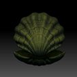 shell-03-mesh.jpg Ostra