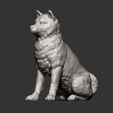 shiba-inu14.jpg shiba inu 3D print model