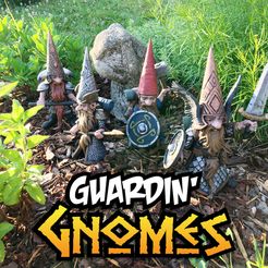 Photo Jun 15, 7 41 14 AM (1).jpg Gnomes gardiens