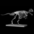 1000045172.png Carcharodontosaurus Skeleton