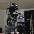 40814650_269793260523596_2472218347064786944_n.jpg Alien Xenomorph 3D Print Model 3D print model