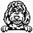 project_20230218_1803028-01.png realistic goldendoodle dog wall art golden retriever poodle wall decor