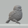 4.png Little Owl 3D Model 3D print model