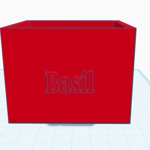 IMG_2876.jpeg Pot de Basilic