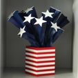 IMG20230401161225.jpg Stars and Stipes. US Flag sculpture/decoration