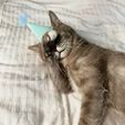 CAT-PARTY-HAT-PLASTIC-3D-PRINT-by-qbed-4.jpg FISHY FISH CAT PARTY HAT