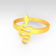 Preview-02-KTFRD05 Filigree Snake Geometric Ring design 3D Print by KTkaRaj.jpg KTFRD05 Filigree Snake Geometric Ring 3D design Jewelry