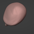 blender_nxqcSoRrtN.png Jack Krauser Villain From Residual Evil for 3d printing Pot planter/vase and head