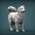 Alaskan-Malamute4.jpg 3D-Datei Alaskan Malamute 3D-Druck Modell・Modell für 3D-Drucker zum Herunterladen