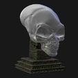 5b5b80c3-1b62-466b-85b7-ac6da7007925.jpg Fichier STL Crâne de cristal・Design pour imprimante 3D à télécharger