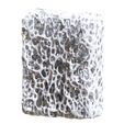 12.png Bone Sponge Printable