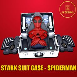 20230513_104545.jpg Spiderman - Stark Suit Case