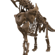 16.png Argentinosaurus : Esqueleto completo