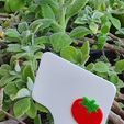 20190911_115652.jpg Fichier STL Signes des légumes - Tomate・Plan pour imprimante 3D à télécharger