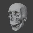 skull_3D.JPG Realistic Human Skull Anatomy stl and OBJ