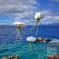 Mini_jelly_set_KaziToad.jpeg Archivo STL Set portaplantas de aire Mini Medusa (SLA)・Objeto de impresión 3D para descargar