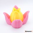 Multifunctional-Lotus-Flower_3.jpg 3D-Datei (Multifunktionale) Lotusblume・Design für 3D-Drucker zum herunterladen