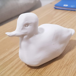 3.png canard