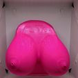 IMG_2558.jpg breasts, looking for full female