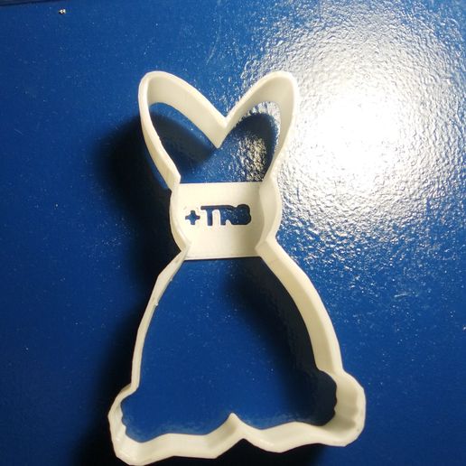 IMG_20170226_233448.jpg cookie-cutter rabbit