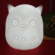 IMG_20240103_203947977.jpg Owl SQUISHMALLOWS ORNAMENT AND ONE TABLETOP TEALIGHT