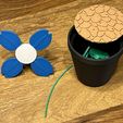 IMG_1108.jpeg Filament Flower - Giftable, Modular Spring Flower Kit