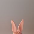 20230321_104353.jpg STL-Datei Osterhase・3D-druckbare Vorlage zum herunterladen