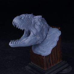 20230406_132956.jpg Fichier STL TÊTE D'ALLOSAURE・Idée pour impression 3D à télécharger
