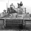 TigerAce1945