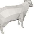 10004.jpg sheep animal