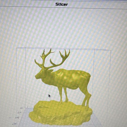 image0.jpeg BULL ELK
