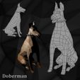 aaaaaakieno.jpg Doberman Doberman