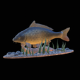 carp-high-quality-klacky-1.png big carp 2.0 underwater statue detailed texture for 3d printing