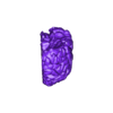 brain_normal_lh_1.0.stl NORMAL HUMAN BRAIN MODEL 1:1