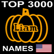 pumpkin-usa.png US PERSONALIZED PUMPKIN DECORATION FOR TOP 3000 USA FIRST NAMES