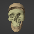 9.png 3D Model of Skull and Brain with Brain Stem