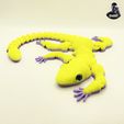 IMG_18531.jpg Funny Lizard Gecko - Articulated - Print in Place - No Supports - Flexi