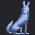 12_TDA0307_Dog_WolfhoundB06.png Dog - Wolfhound