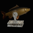 common-carp-trophy-2-2-1-7.png COMMON CARP (CYPRINUS CARPIO) fish in motion trophy statue detailed texture for 3d printing