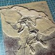 IMG_2718.jpg Archaeopteryx Litographica Fossil 188x230 Hueforge