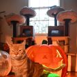 DSC_1314.jpg Giant Jack O Lantern Pumpkin Pet Bed