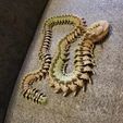 385533387_227738516969585_1255377701902020051_n-1.jpg Shakaworld3D 34 inch long Horned Flat Head Spine Dragon Viper Serpent Articulated