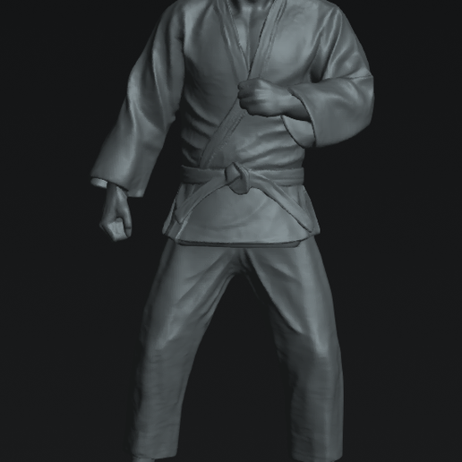 Captura-de-pantalla-2025-11-06-a-la-s-2.37.32 p.m.png JUDOKA